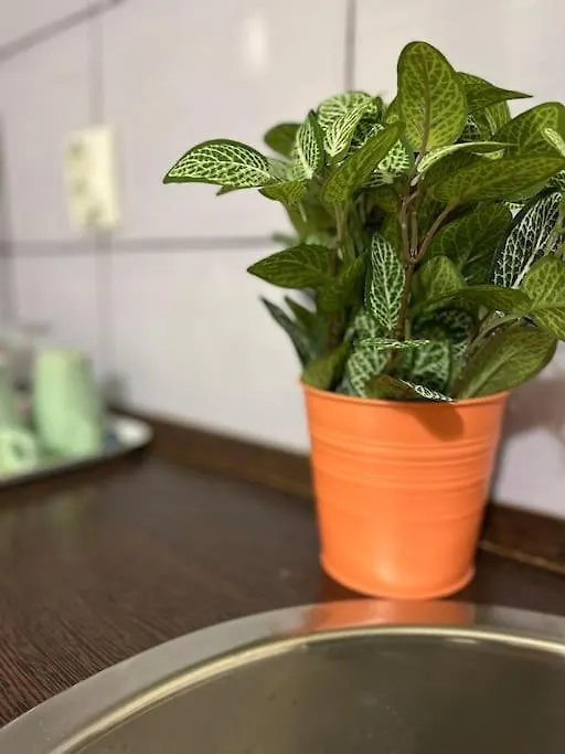 2# Sunflower Cozy Apartment Budapest Hungary