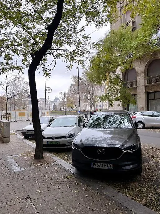 2# Sunflower Cozy Apartment Budapest 0*,  Hungary
